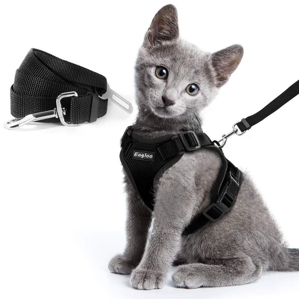 Harness Cat