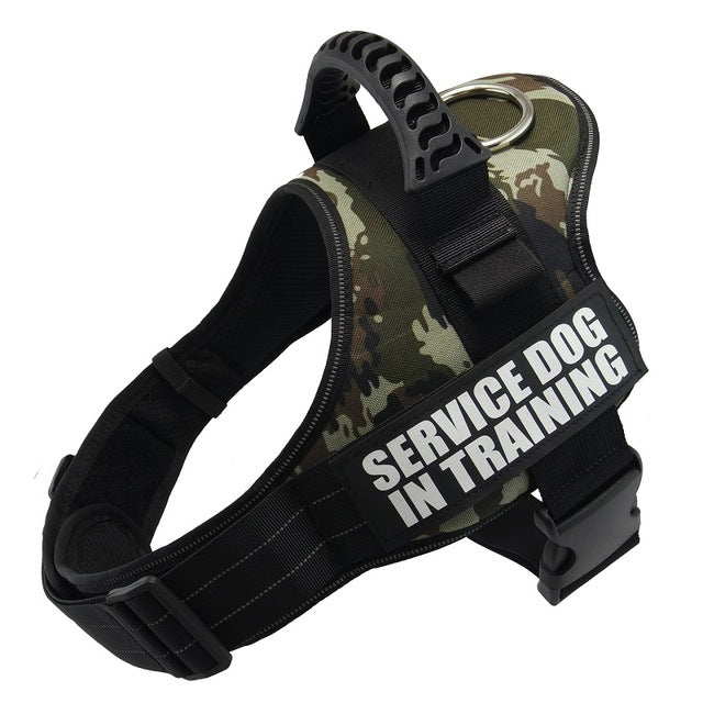 Harnesses