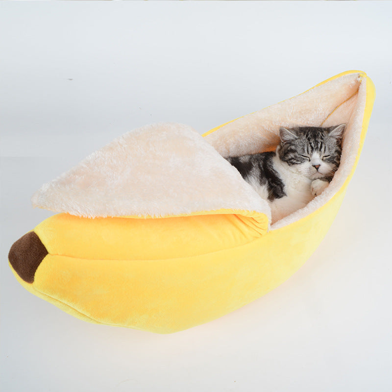 Bed Cat