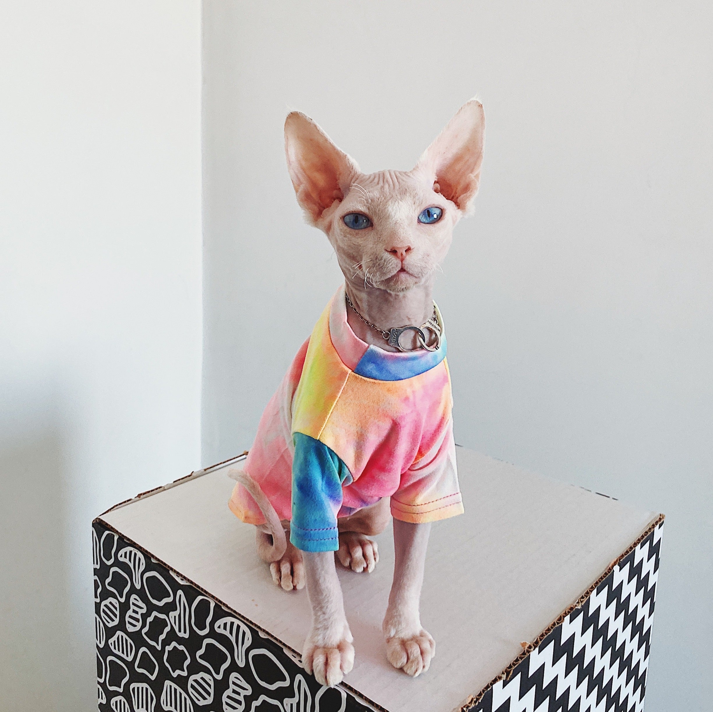 Tops Cat
