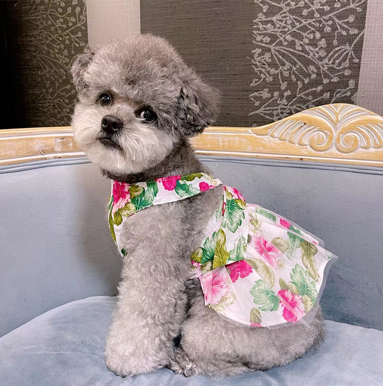 Pet Dresses