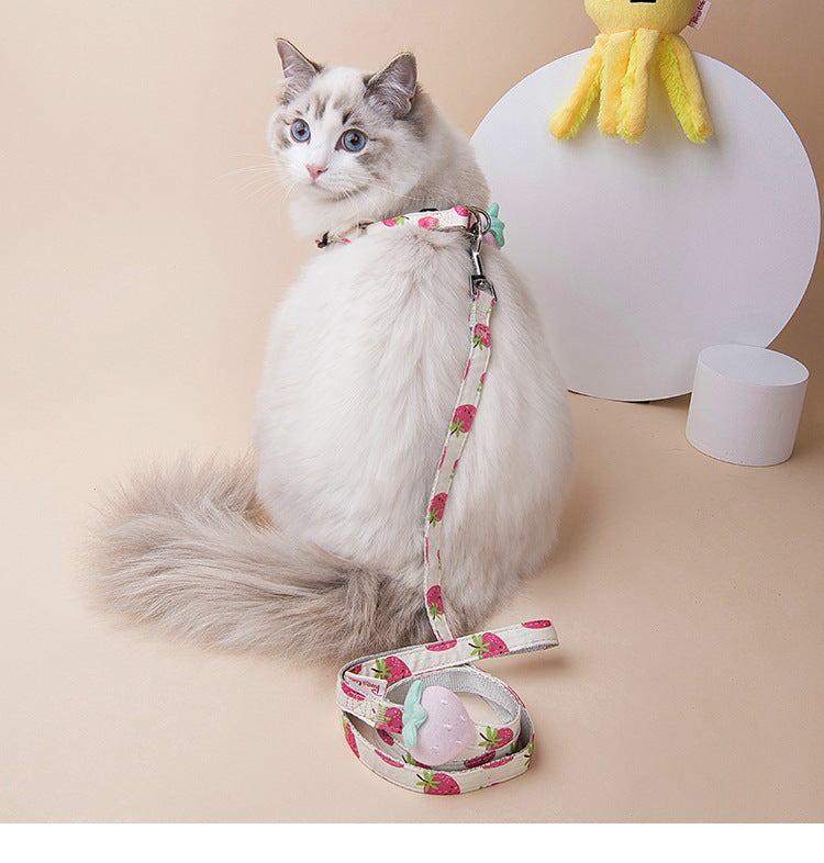 Collar Cat